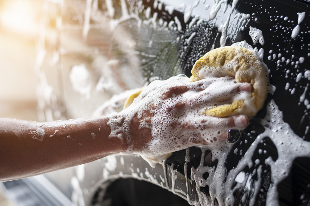 AdobeStock_231338231.png